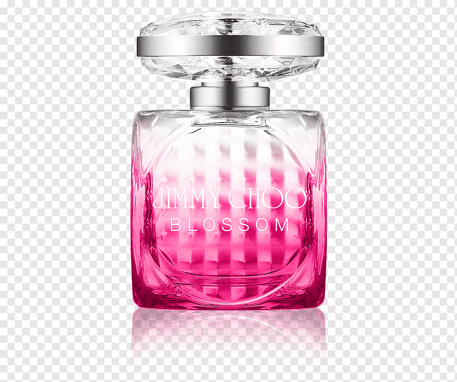 Jimmy Choo Blossom EDP Spray for Women - Tester - Perfume Oasis